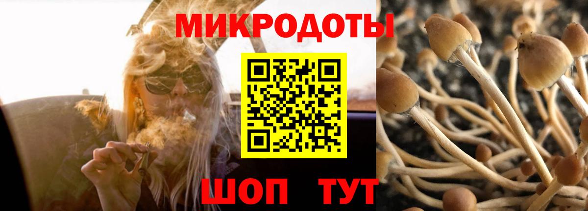 Псилоцибиновые грибы Magic Shrooms  Вход с VPN  Тайшет 